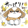 LINEX^v