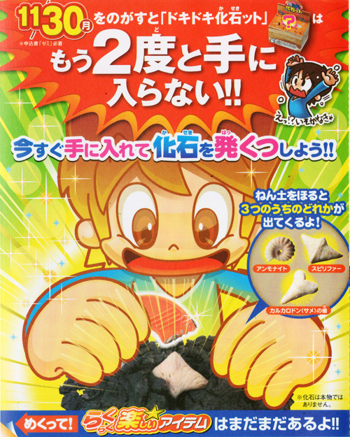 DM/2010年進研ゼミ小学講座DMイラスト