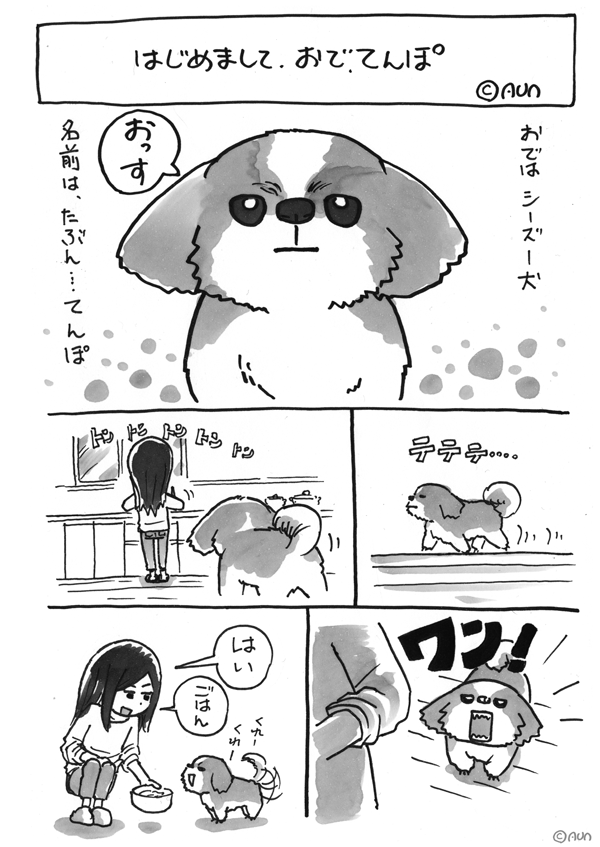 シーズー漫画 あうんのてんぽ 1 はじめまして おで てんぽ Aun