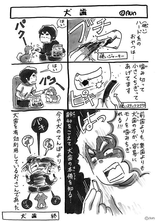 シーズー漫画 あうんのてんぽ 14 犬歯 Aun